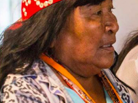 Indigenous woman meeting with the Ministry of Indigenous Women in Paraguay