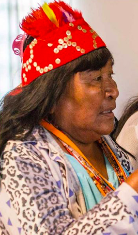 Indigenous woman meeting with the Ministry of Indigenous Women in Paraguay